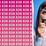 Imate visok IQ, če lahko med več sto drugimi številkami